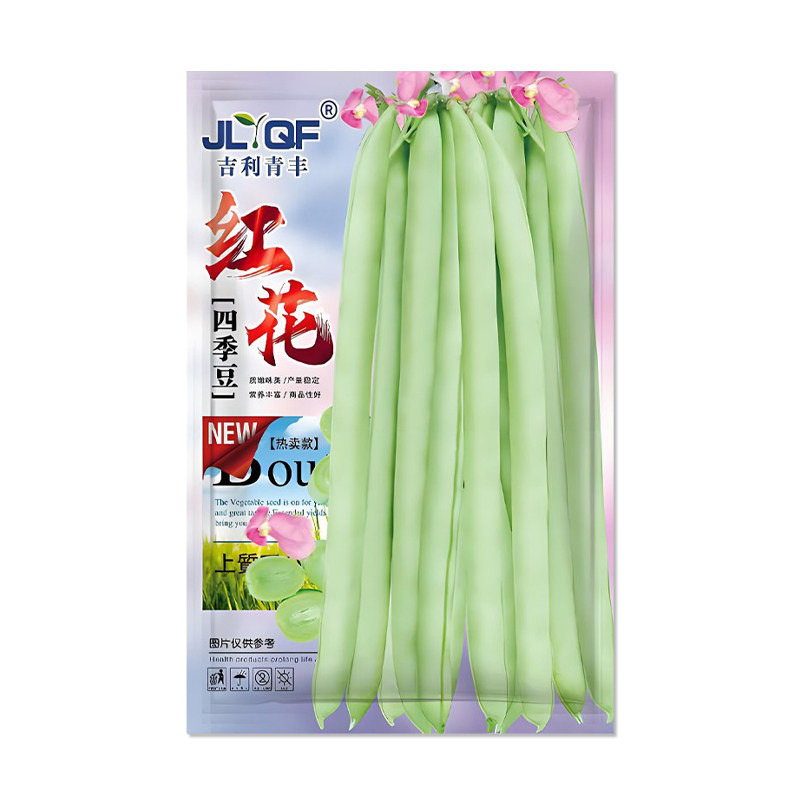 吉利青丰红花四季豆种子