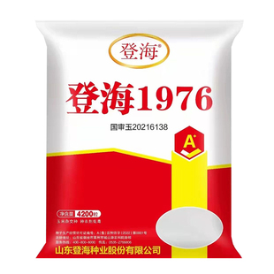 国审玉登海1976玉米种子原装正品大棒高产春夏适播大田玉米种籽