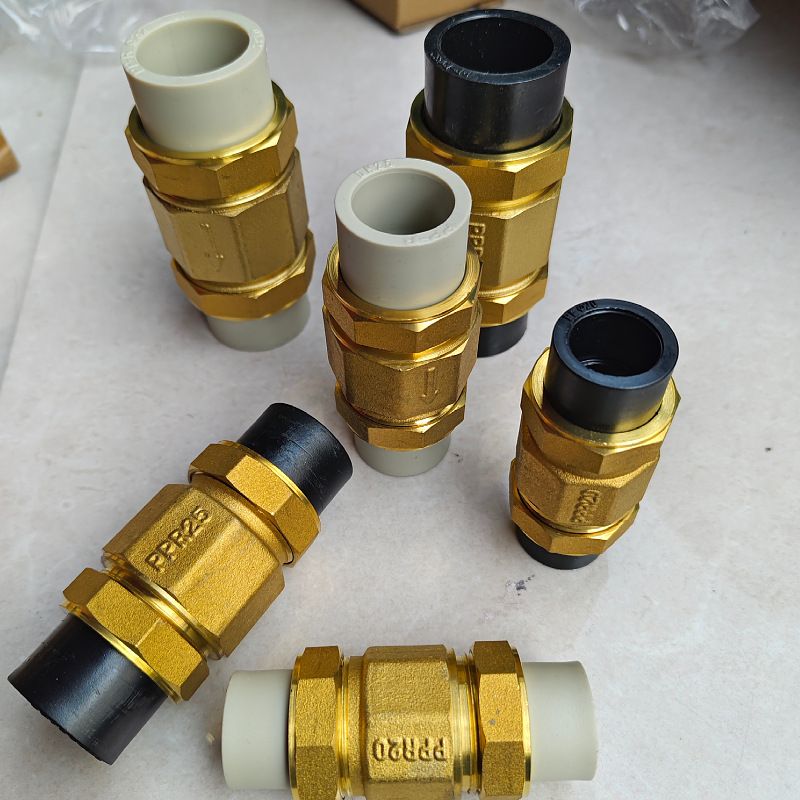 热熔铜止回阀PPR双活接单向阀水表逆止阀铜卧式PE立式止回阀20 25
