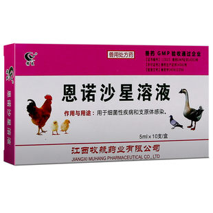 恩诺沙星鸽药玄凤鹦鹉鸟常备药专用药肠炎拉稀白痢药恩诺沙星溶液