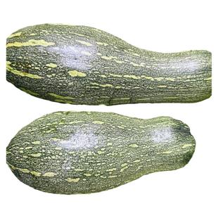 长香瓜青皮长南瓜绿南瓜青南瓜嫩南瓜云南特产农家自种新鲜粉糯