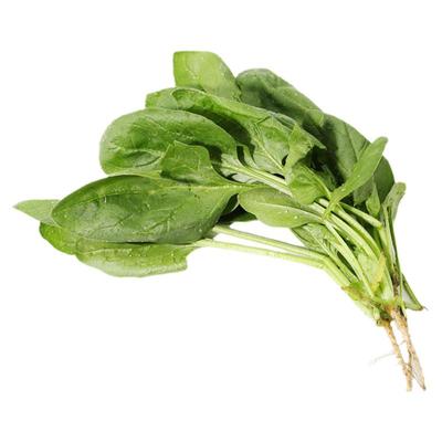 农家菠菜老品种孕妇300g