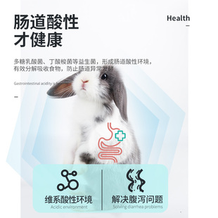 宠尚天益生菌兔兔鼠鼠龙猫仓鼠专用去软便调理肠胃拉稀胀气肠胃宝