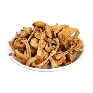 新货东北特产滑子菇滑子蘑菇干货滑菇小黄蘑小鸡炖蘑菇500g