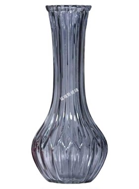 玻璃花瓶北欧风培绿植鲜花银柳雪柳富贵竹插花瓶彩色桌面装饰摆件