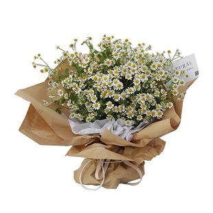 小洋甘菊鲜花银莲花束上海 订花同城配送 生日祝福丁香花思南香山