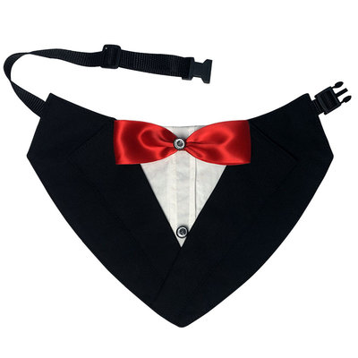 服装贵宾泰迪猫咪三角口水围巾