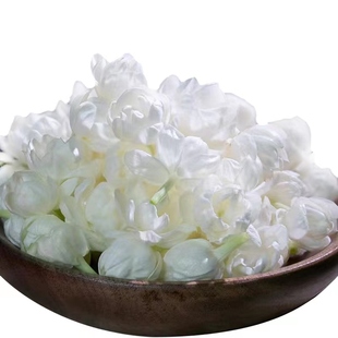 横县茉莉花茶2025新花大朵无梗茉莉雪球茉莉花干花茉莉花苞茶泡茶