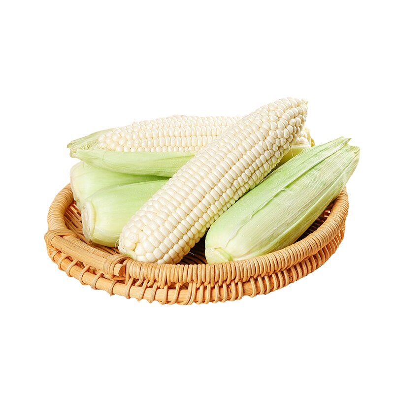 现摘玉米棒即食爆浆水果玉米