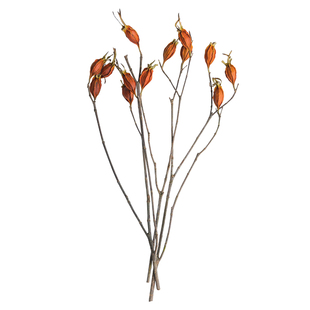乡村田园风天然植物风干花软装复古干树枝拍摄道具橘红色栀子花果