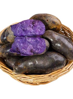 紫土豆黑土豆新鲜紫色洋芋马铃薯