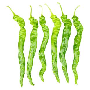 高产巨型陇椒种子香辣特大辣椒种籽螺丝椒薄皮南方蔬菜苗秧孑籽种