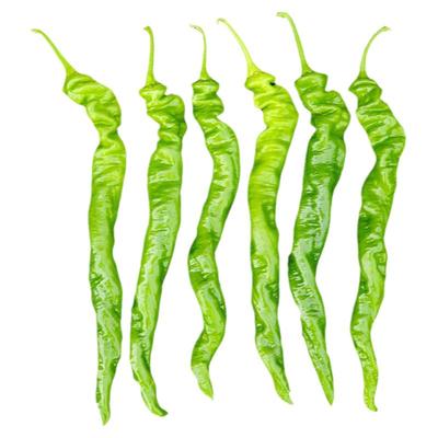 高产巨型特大辣椒南方蔬菜苗