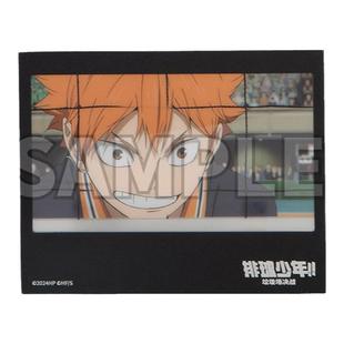 【年终狂欢】排球少年 PVC记录卡盲盒 动漫周边谷子日向影山ZK