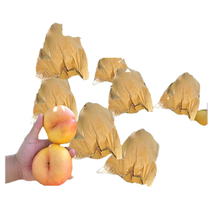 蟠桃专用套袋水果套袋防虫防鸟神器桃子梨子番石榴果袋保护袋纸袋