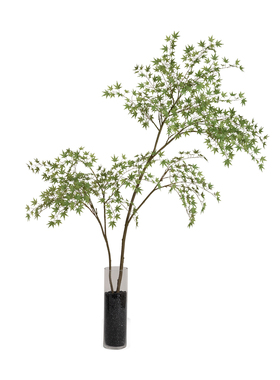 植觉造物鸡爪槭吊钟马醉木仿真绿植室内浴室装饰摆件盆栽落地假树