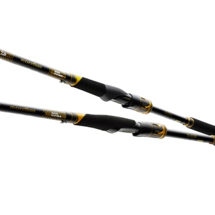 DAIWA达亿瓦25款 MORETHAN BRANZINO EX AGS猫赞海鲈竿远投路亚竿