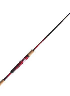 沙湖啦淡水海钓路亚竿