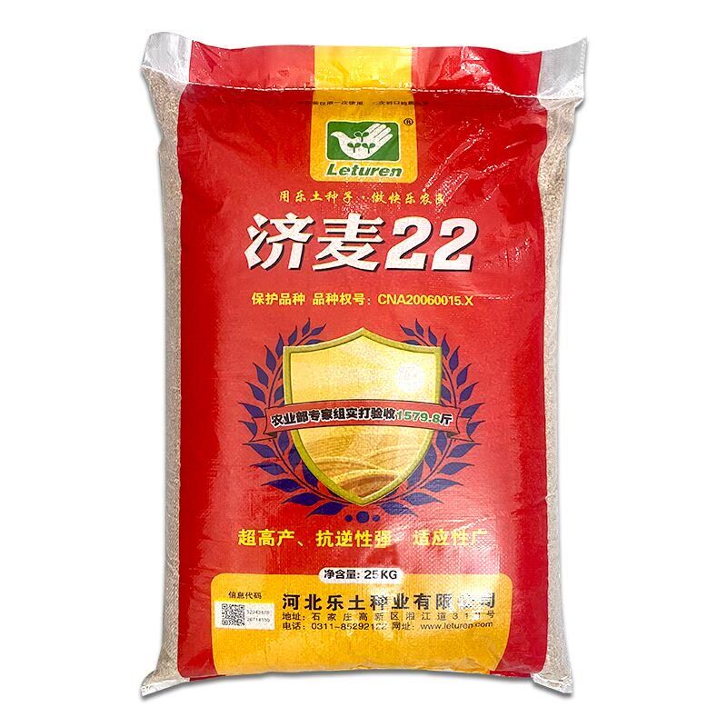 济麦22小麦种子高产山东农科院育矮秆抗倒大穗原种优质冬小麦种子