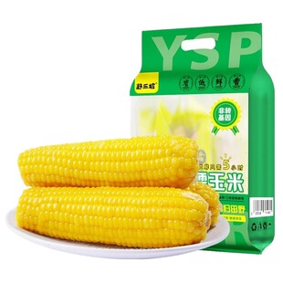 野三坡新鲜黄糯玉米白糯玉米10棒真空粘糯玉米低脂香甜代餐健康