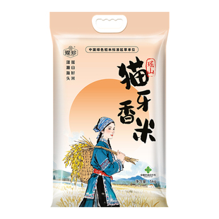 2025年晚稻瑶山正宗猫牙香米5KG长粒大米煲仔饭炒饭用米优质食用