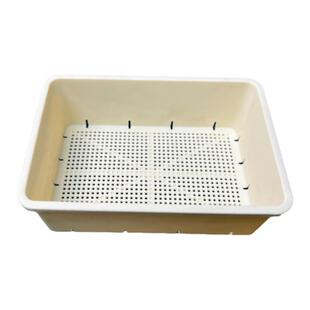 柏实多肉育苗筐播种筐加厚耐用肉锥pp景天仙人球花卉收纳叶插移苗