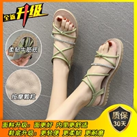 Green-Crowd Diamond-High-качество обновление