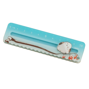特尔湃THEBAI小鸟系列滑滑尺掌心尺夜师傅小胖鸟亚克力直尺10cm