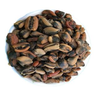 新鲜淡菜干500g新晒小海虹干野生海虹干贻贝海红肉干海鲜干货包邮