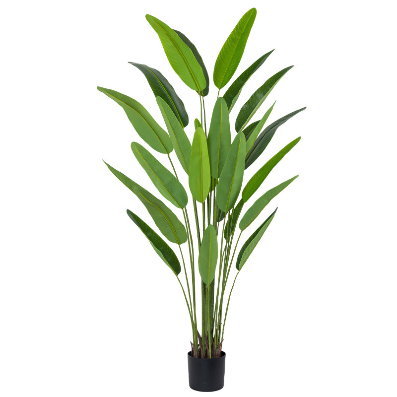仿真植物散尾葵室内装饰客厅绿植