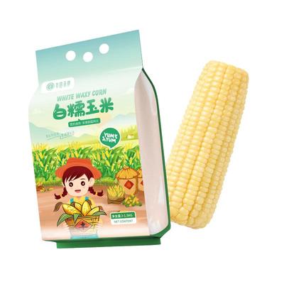 华田禾邦东北新鲜白糯玉米棒子