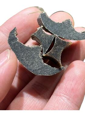 碎料保真角料养生文玩药材料披毛犀角鱼籽纹支持检测