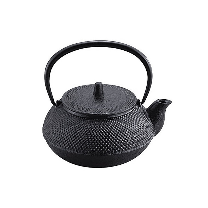 日本进口南部铁器烧水铁瓶泡茶壶