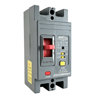 2P家用大功率漏电保护器100A250A单相220V漏电断路器开关带指示灯