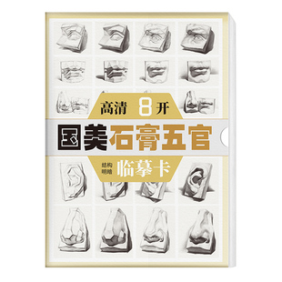 国美素描石膏五官临摹卡8K 头像卡片高清精微画结构初级创意照片画册摹图片作品基础入门书教材教学教程美术绘画静物描摹练习书籍