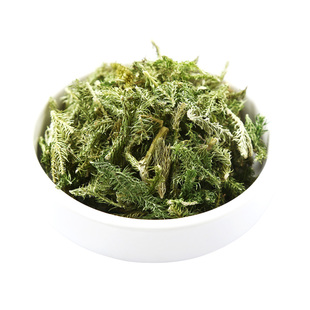 野生伸筋草中药500克g正品另售远志益智仁伸筋草透骨草中药材新货