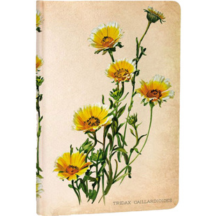 现货绝版Paperblanks笔记本Painted Botanical彩绘植物插画记事本
