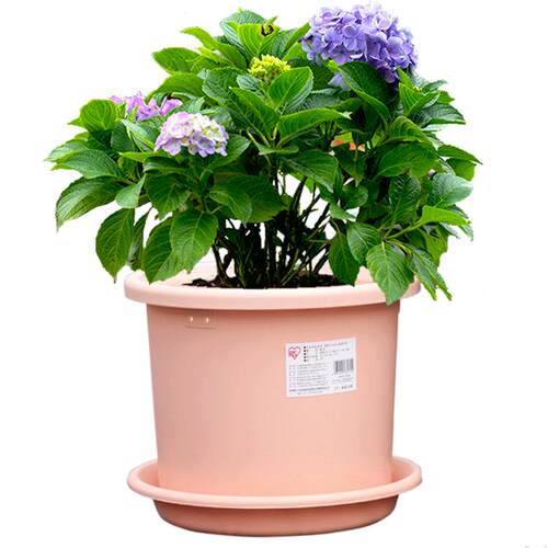 爱丽思deepot花盆树脂控根加仑盆爱丽丝圆口绣球蔷薇月季塑料花盆