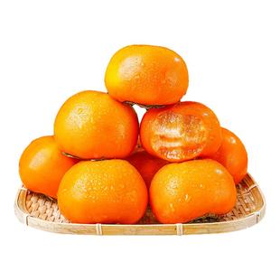 正宗巧克力脆柿子新鲜水果当季冰糖心削皮甜柿无核火晶柿整箱包邮