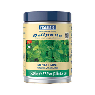 法布芮Fabbri 绿薄荷调味酱意式冰淇淋冰棍蛋糕甜品浓缩原料1.5kg