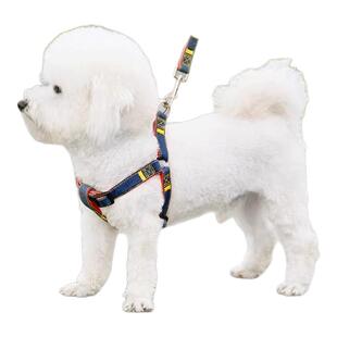 狗狗牵引绳脖圈小中大型幼犬宠物泰迪博美比熊金毛胸背带遛狗链子