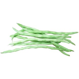 高产早熟无筋豆角种子苗春季夏蔬菜种孑四季庭院无丝筋豆架豆种籽