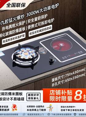 新飞气电两用燃气灶双灶家用厨房天然气液化气煤气灶台嵌猛火灶