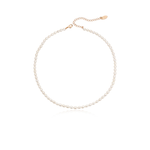 AmberLollipop淡水米粒珍珠项链女2026爆款百搭颈链轻奢锁骨链