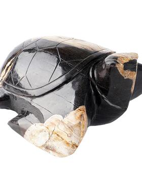 工艺雕刻长寿龟天然送礼木化石