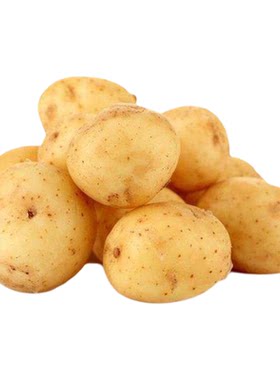 迷你小土豆农家黄心新鲜蔬菜