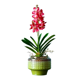 高档轻奢手感保湿兰花仿真花摆件酒店前台大厅假花盆栽客厅装饰品