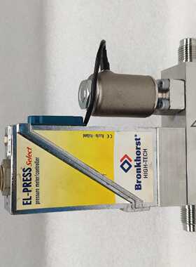 议价Bronkhorst 质量流量计AIX-005DE Ar/N2 2000mIn/min 荷兰原