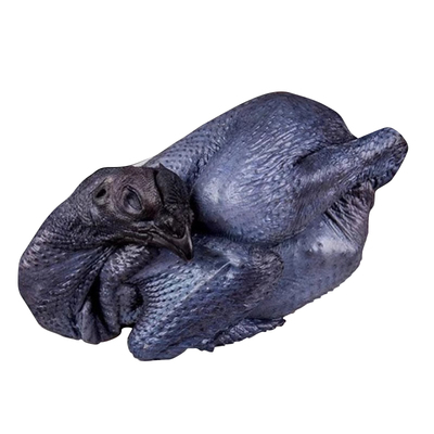 广东清远原种乌鸡农家散养竹丝鸡