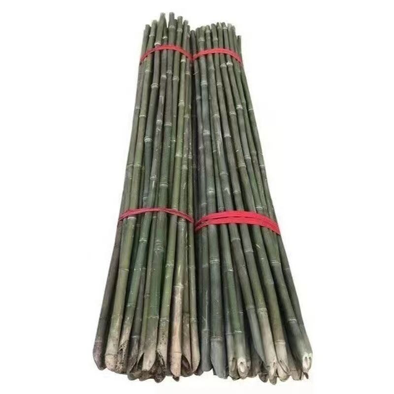 竹竿大棚菜园黄瓜豆角爬藤支撑架